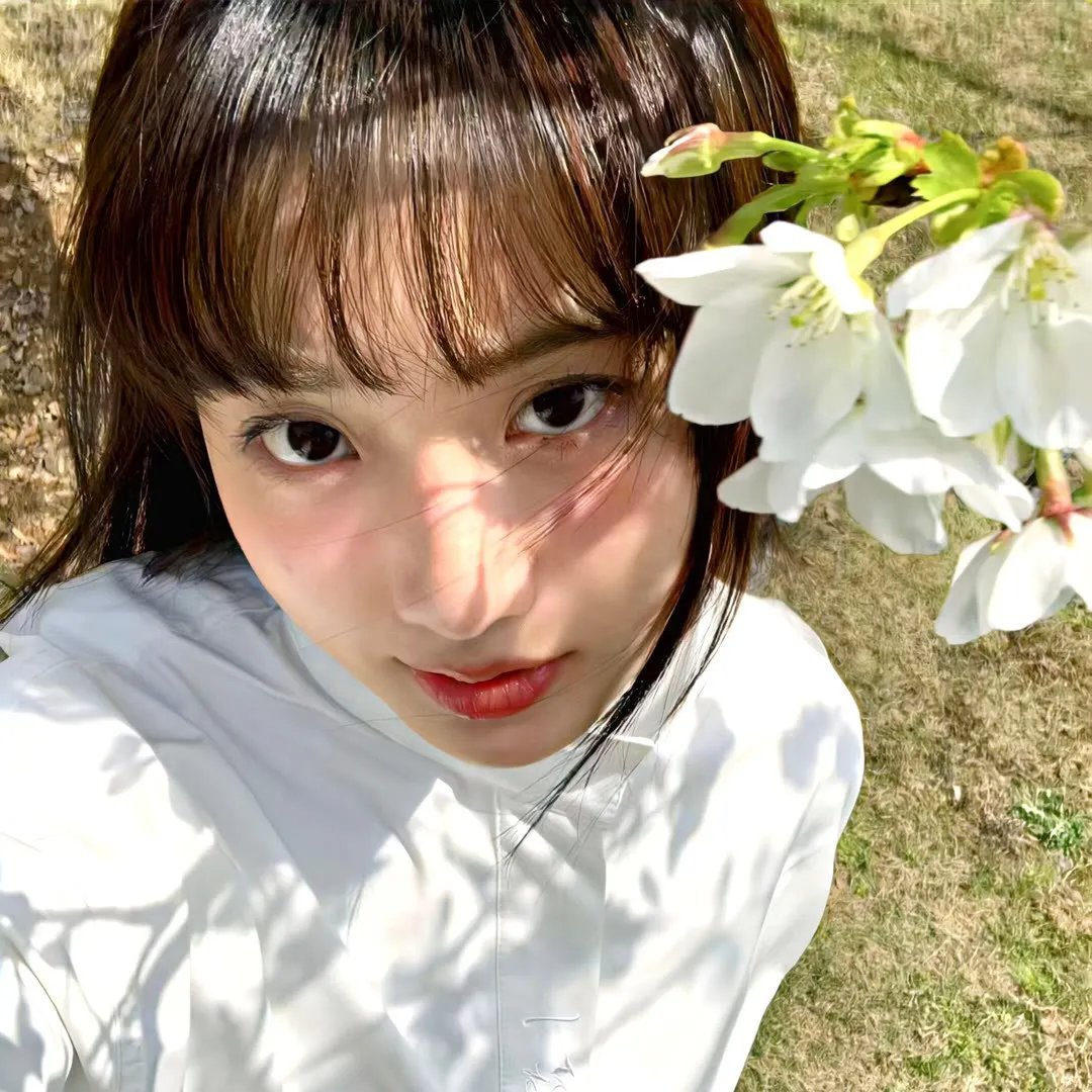 墨爷,夫人又搞事情了